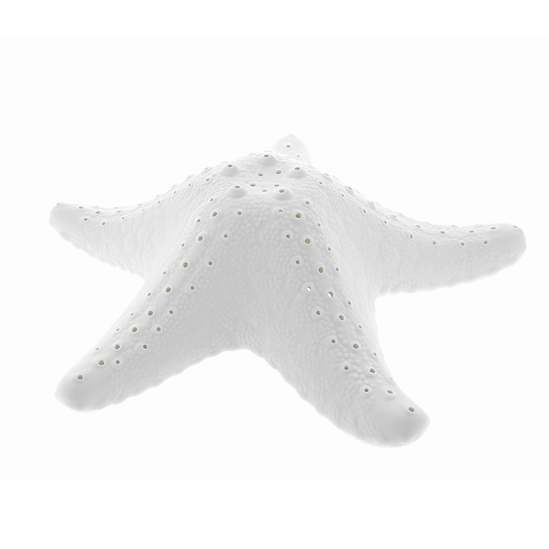 Lampe porcelaine étoile de mer