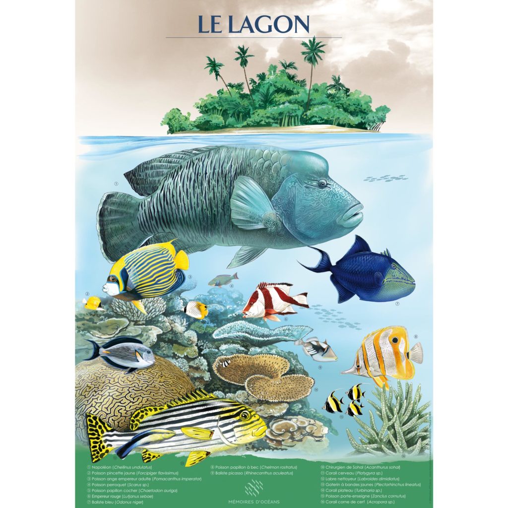 affiche le lagon