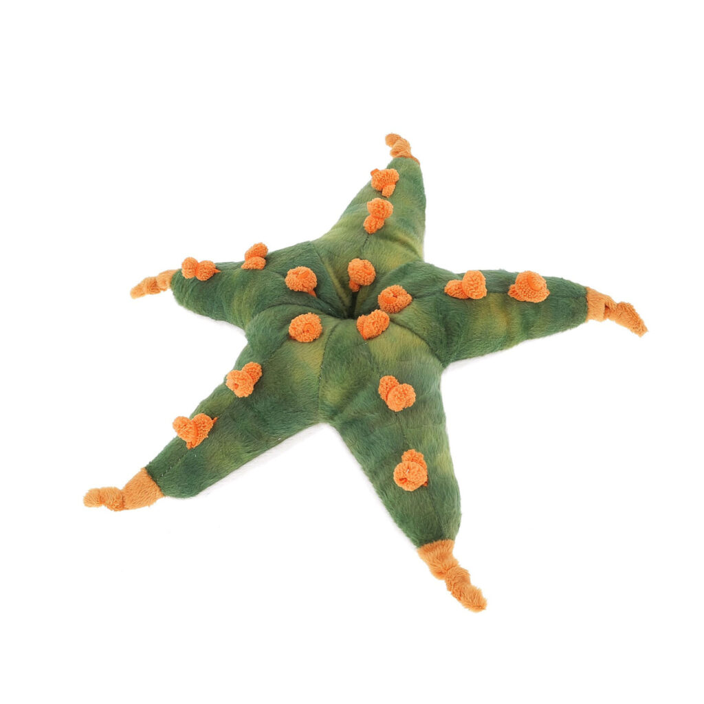 Peluche étoile de mer verte