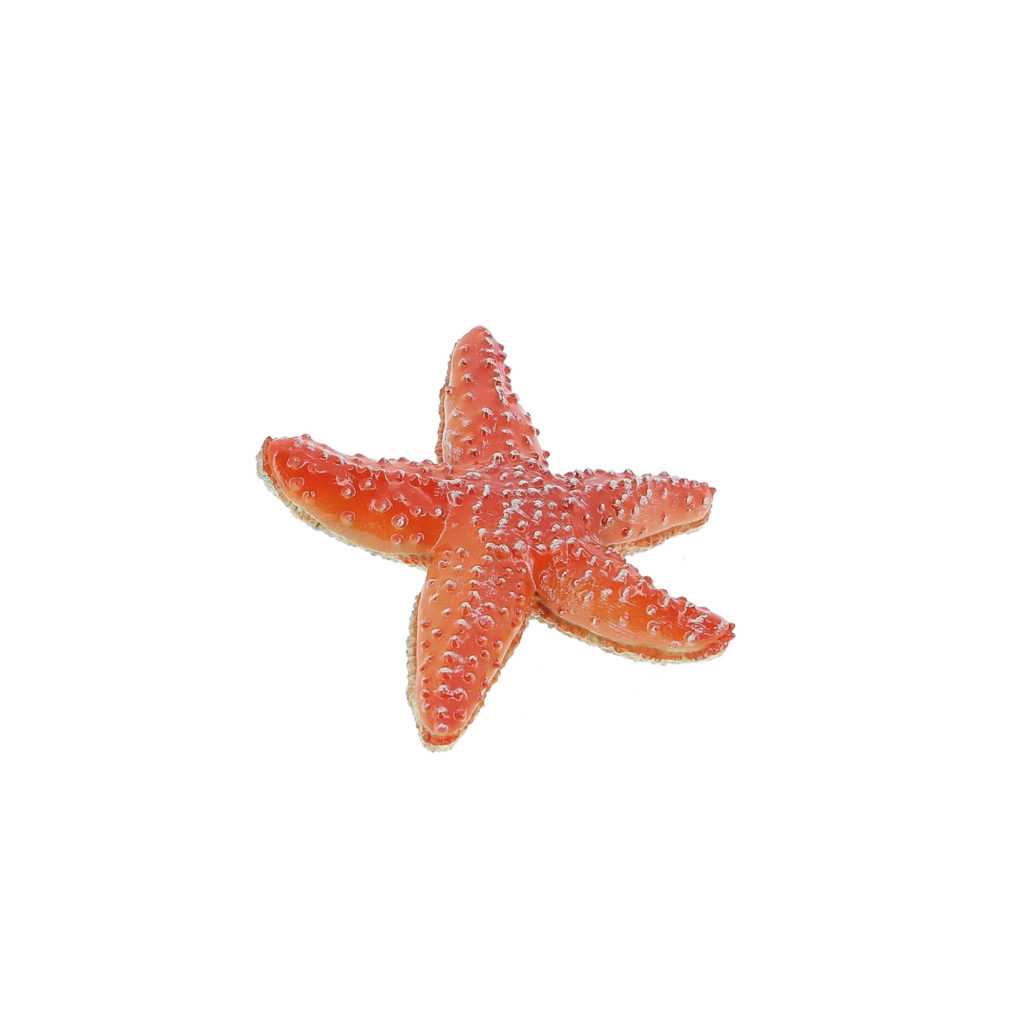Figurine Papo Etoile de mer