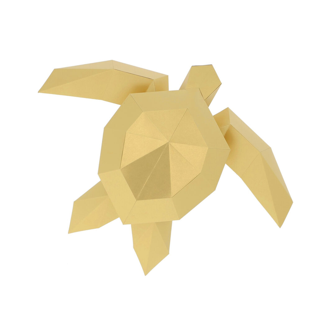 Maquette 3D Tortue or