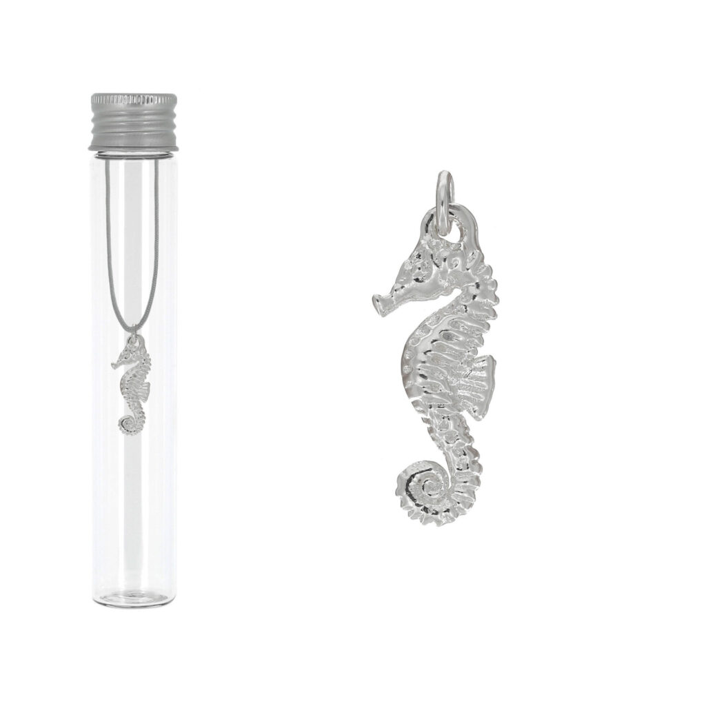 Pendentif hippocampe plaqué argent