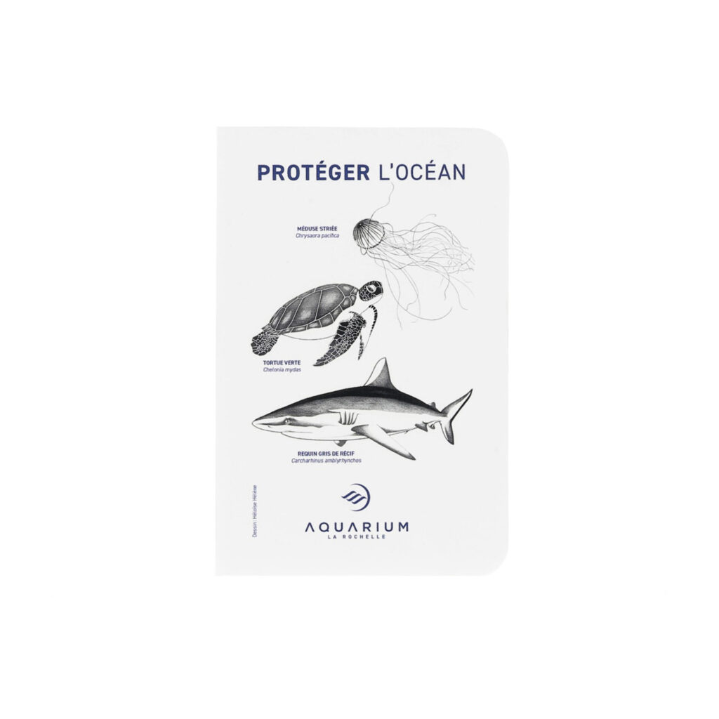 Carnet A6 Aquarium La Rochelle