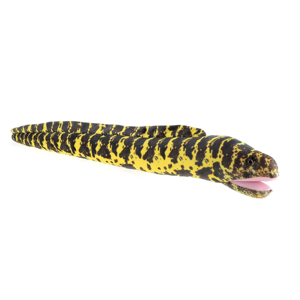 Peluche murène enchainée WFO
