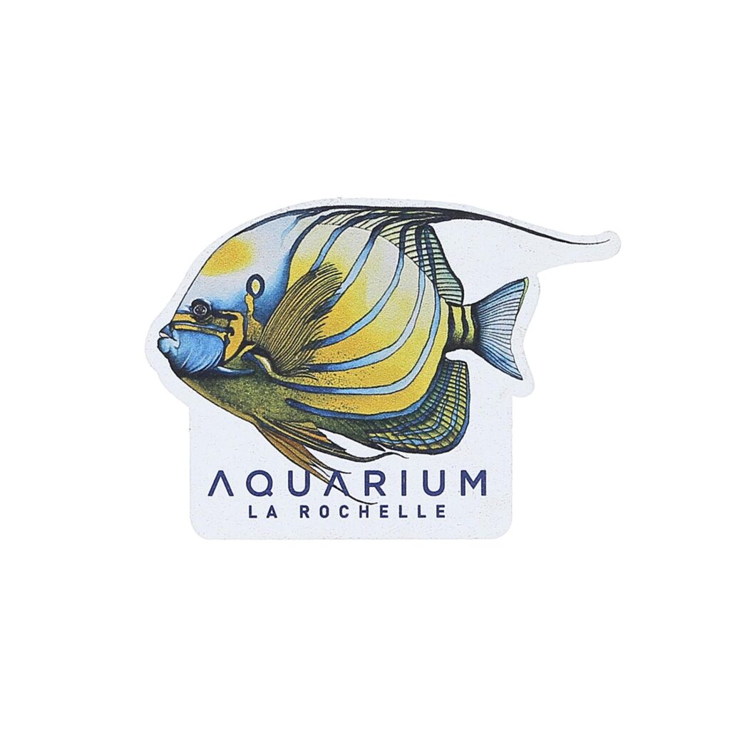 Magnet bois poisson ange à anneau Aquarium La Rochelle