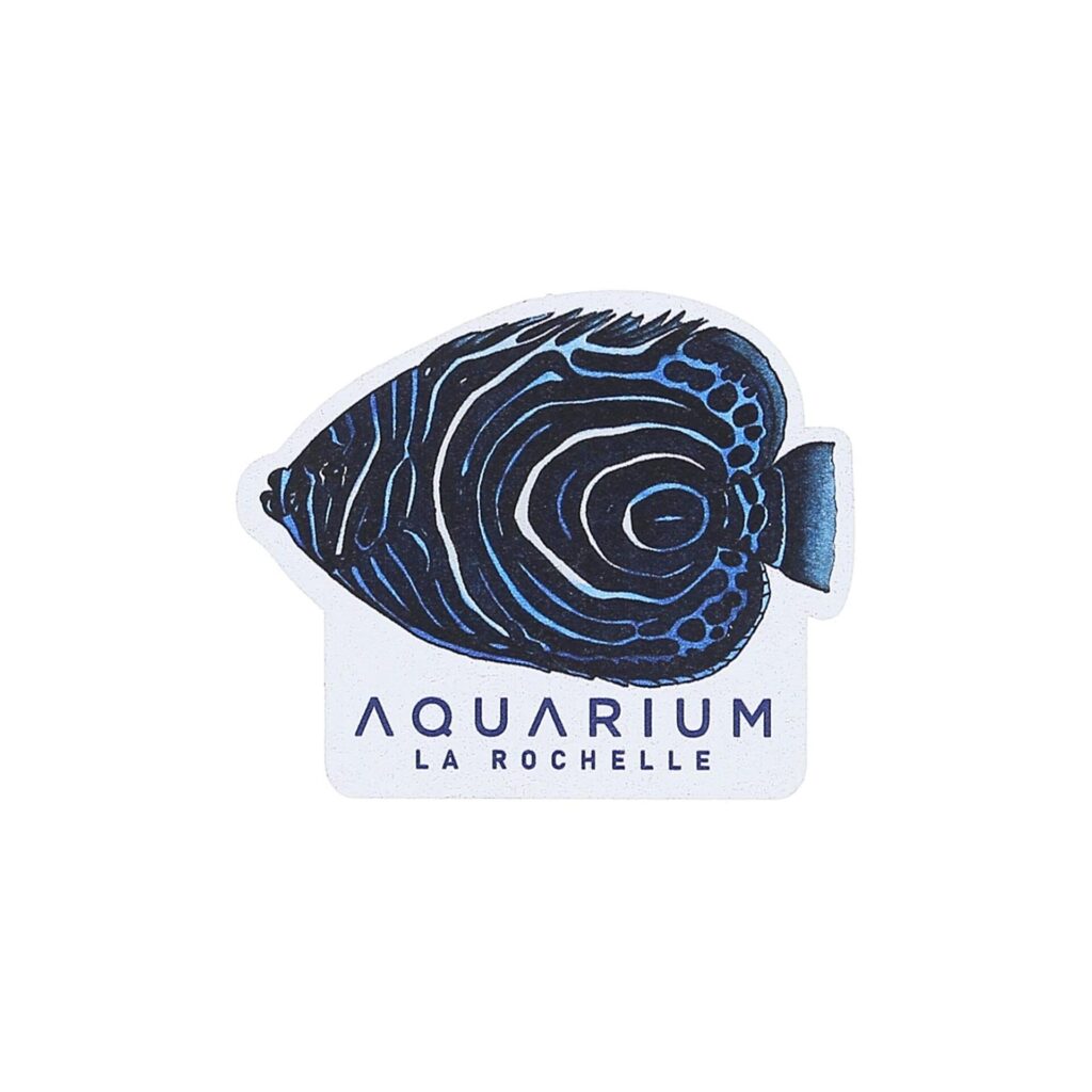 Magnet bois poisson ange empereur juvénile Aquarium La Rochelle