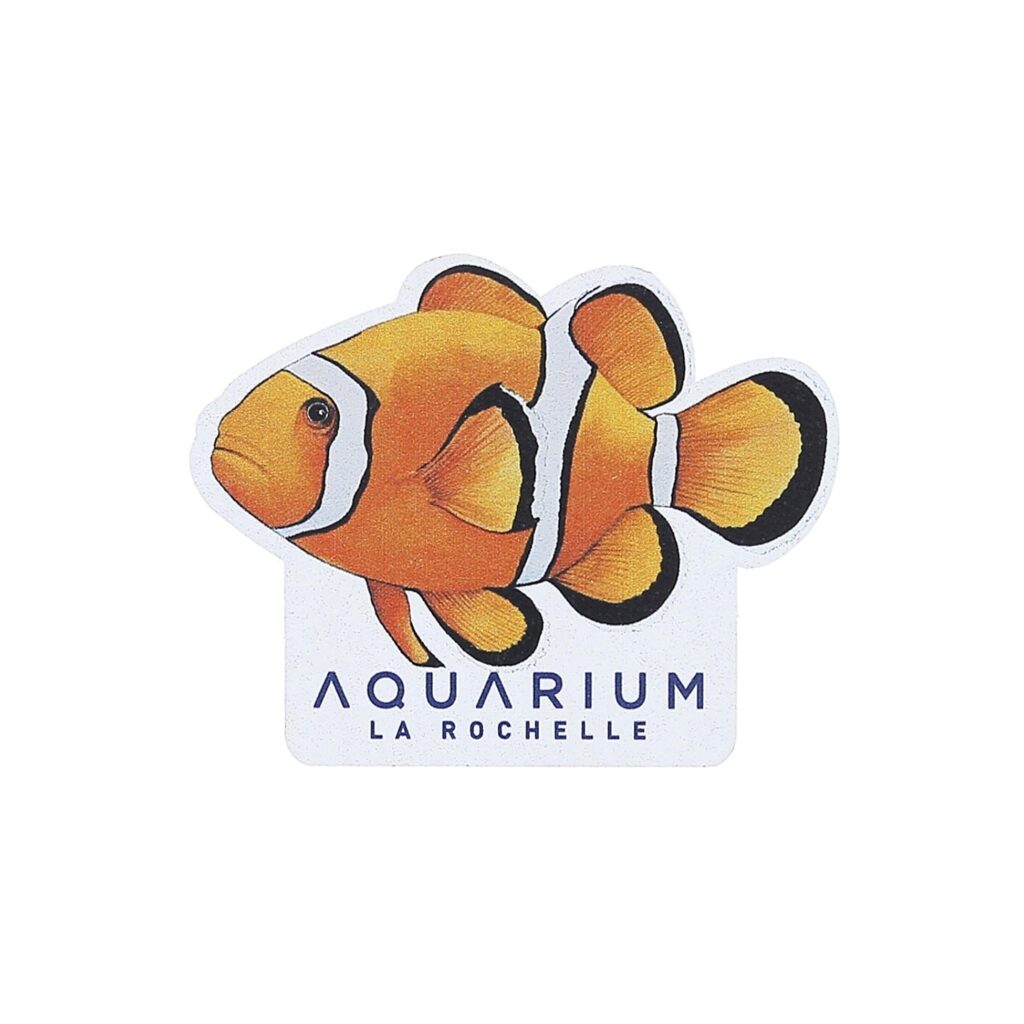 Magnet bois poisson clown Aquarium La Rochelle