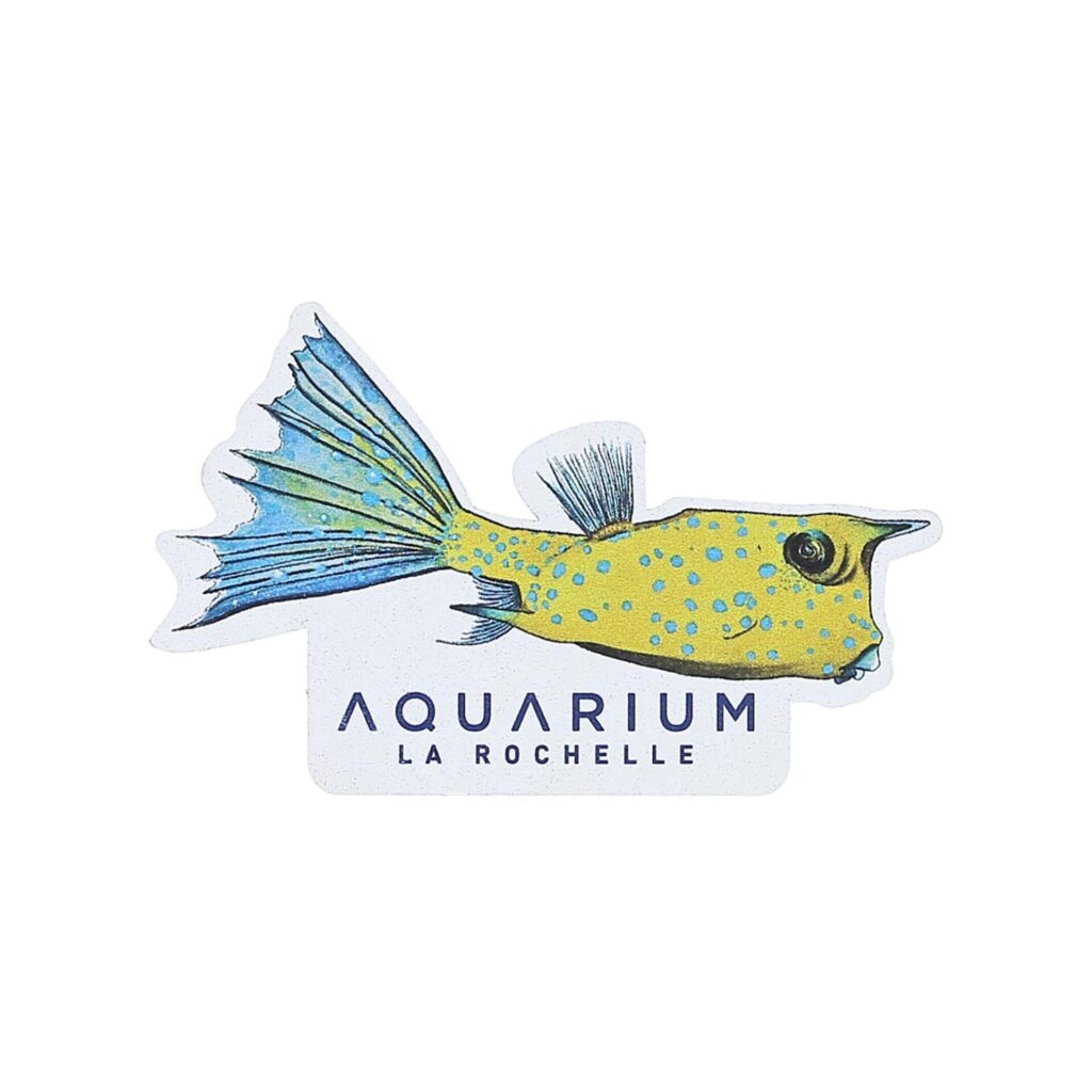 Magnet bois poisson coffre Aquarium La Rochelle