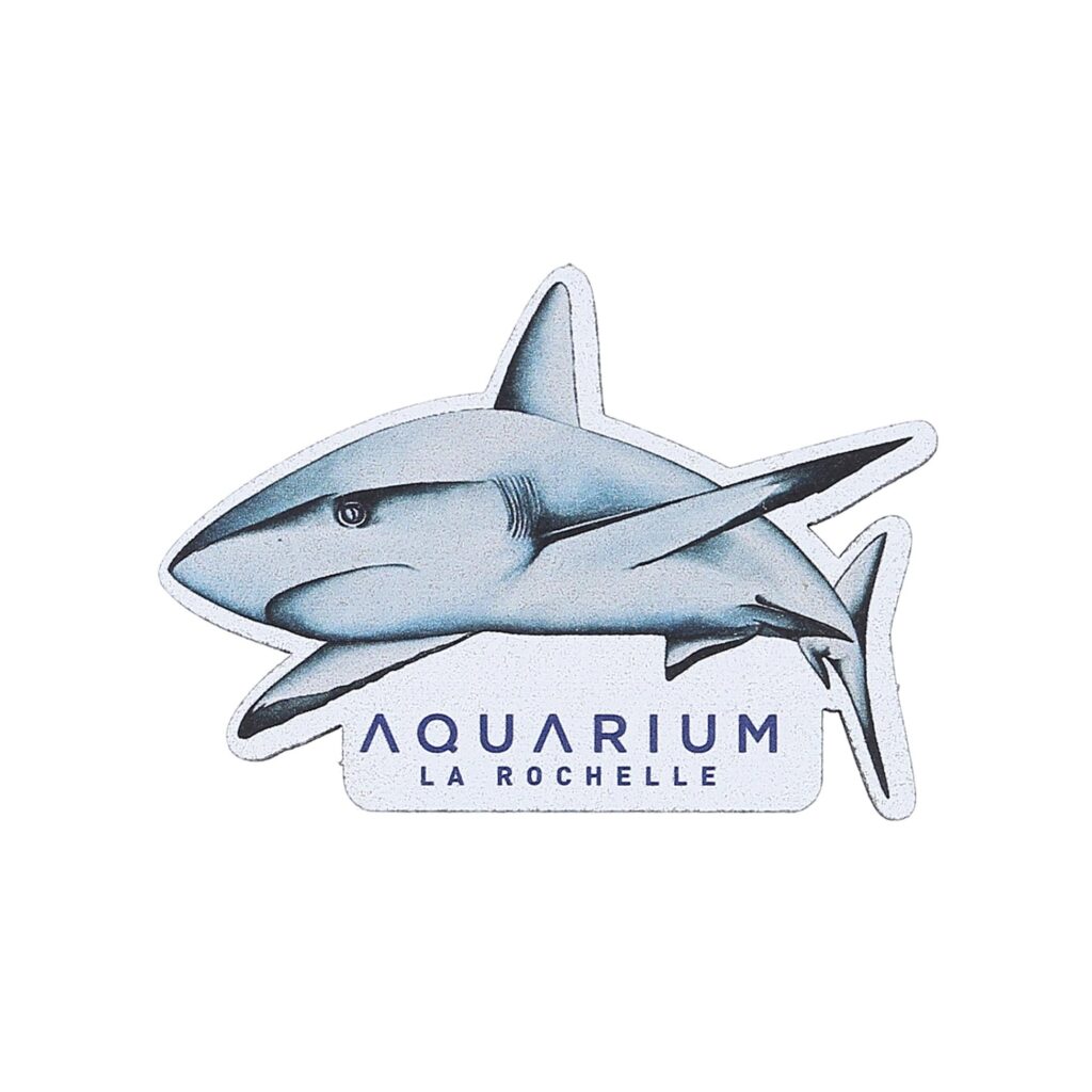 Magnet bois requin gris de récif Aquarium La Rochelle