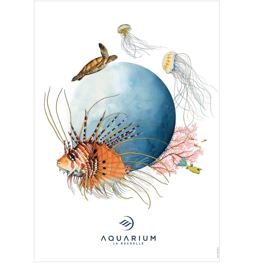 Affiche Aquarium La Rochelle 2026