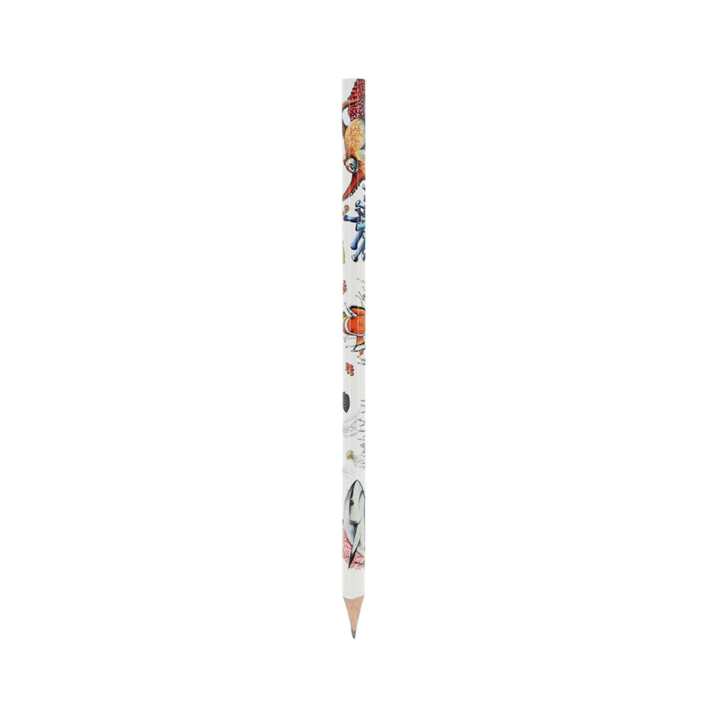 Crayon à papier Aquarium La Rochelle 2026