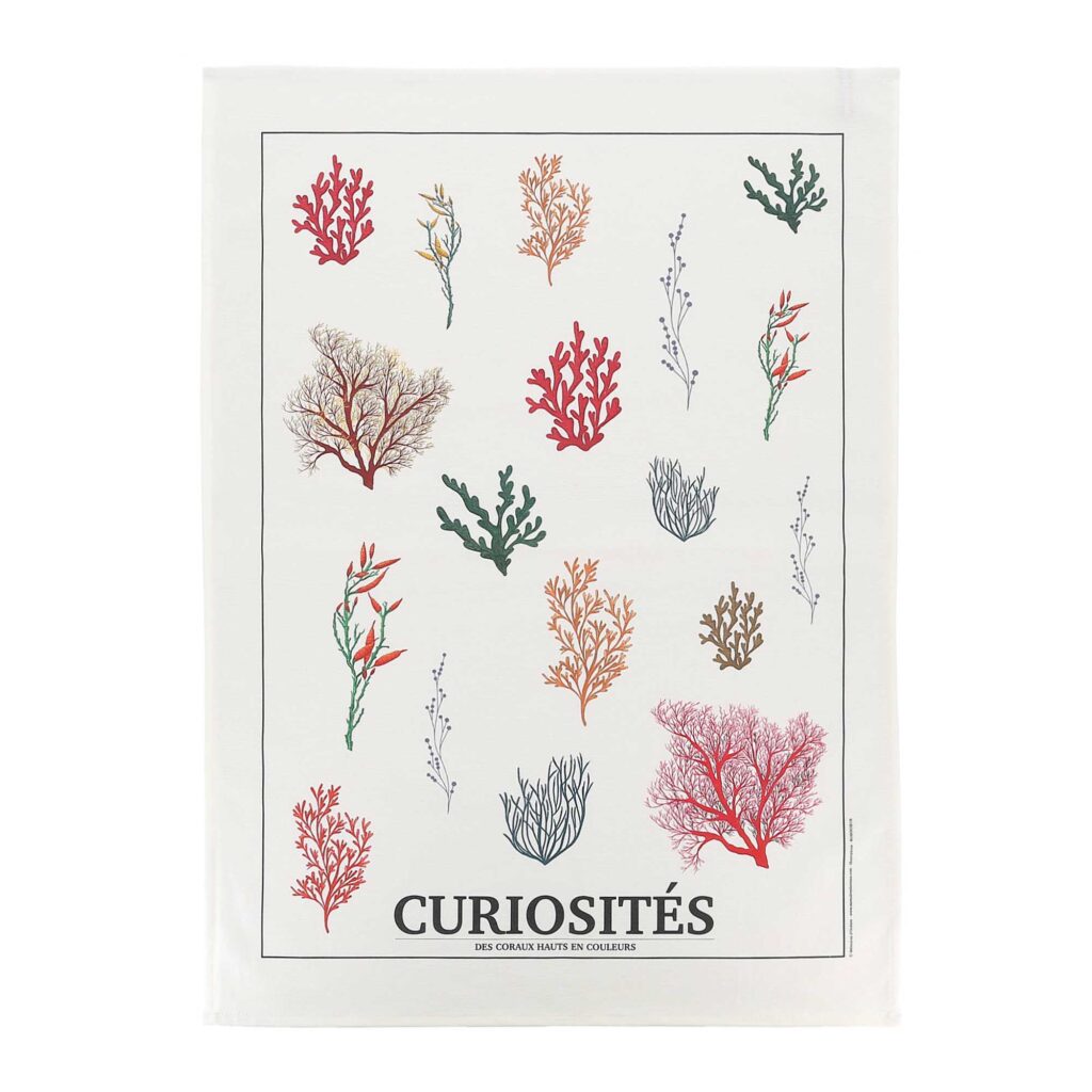 Torchon coraux Curiosités