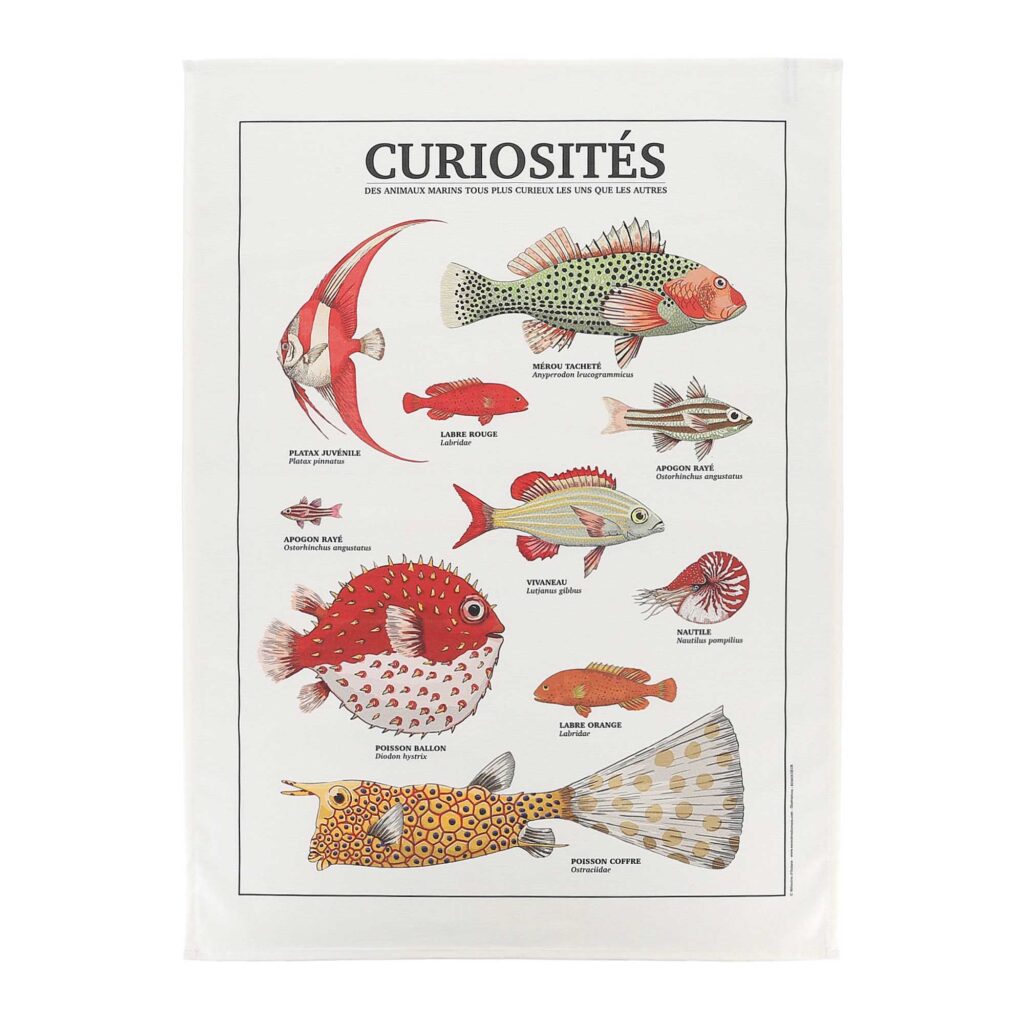 Torchon poissons Curiosités
