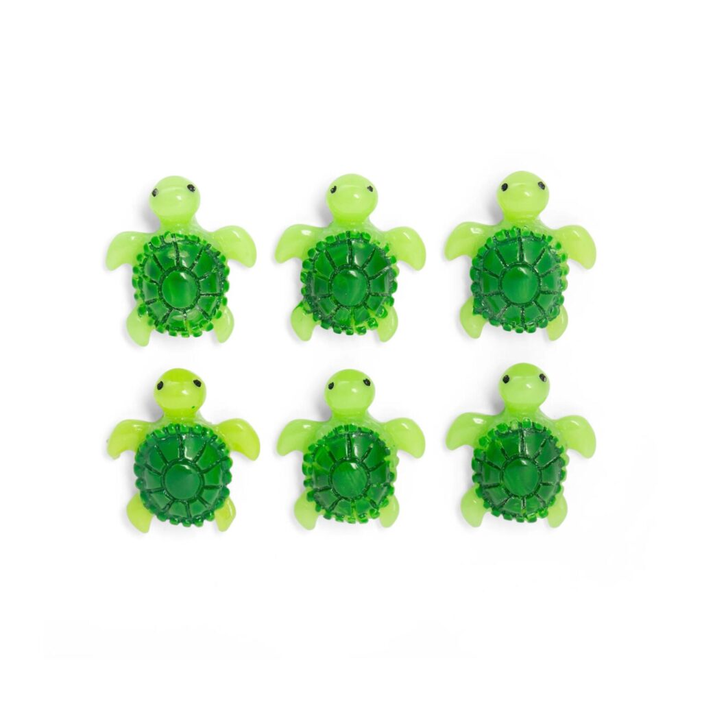 Set 6 magnets bébés tortues