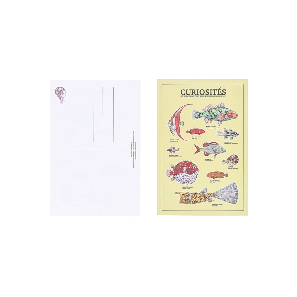 planche de stickers-curiosités